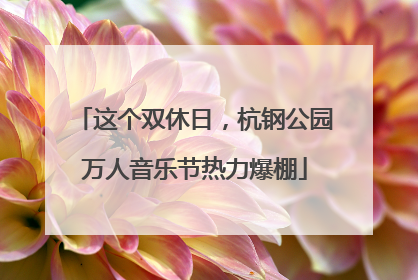 这个双休日，杭钢公园万人音乐节热力爆棚