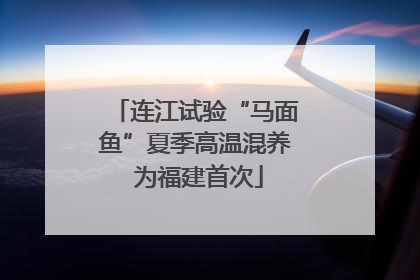 连江试验“马面鱼”夏季高温混养 为福建首次