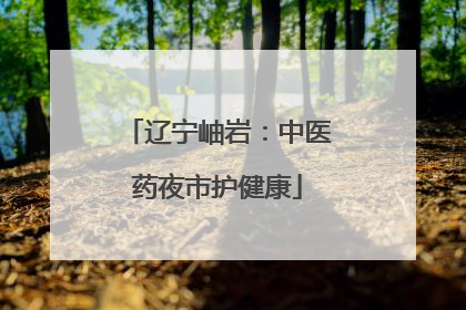 辽宁岫岩：中医药夜市护健康