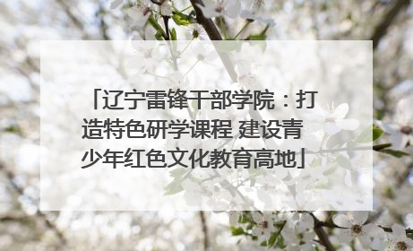 辽宁雷锋干部学院：打造特色研学课程 建设青少年红色文化教育高地