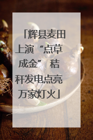 辉县麦田上演“点草成金” 秸秆发电点亮万家灯火