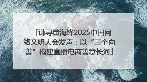 谦寻董海锋2025中国网络文明大会发声：以“三个向善”构建直播电商善意长河