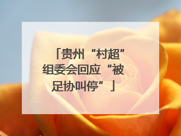 贵州“村超”组委会回应“被足协叫停”