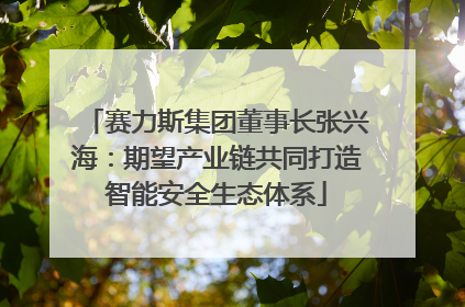 赛力斯集团董事长张兴海：期望产业链共同打造智能安全生态体系