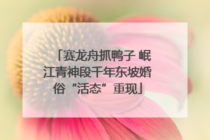赛龙舟抓鸭子 岷江青神段千年东坡婚俗“活态”重现