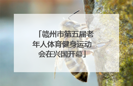赣州市第五届老年人体育健身运动会在兴国开幕