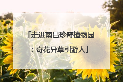 走进南昌珍奇植物园：奇花异草引游人