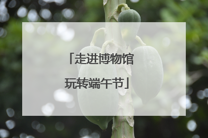 走进博物馆 玩转端午节