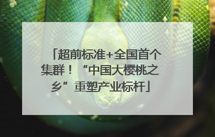 超前标准+全国首个集群！“中国大樱桃之乡”重塑产业标杆