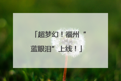 超梦幻！福州“蓝眼泪”上线！