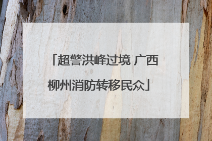 超警洪峰过境 广西柳州消防转移民众