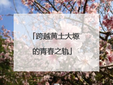 跨越黄土大塬的青春之轨