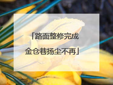 路面整修完成 金仓巷扬尘不再