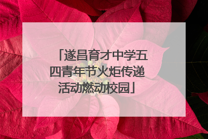 遂昌育才中学五四青年节火炬传递活动燃动校园