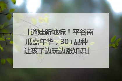 遛娃新地标！平谷南瓜嘉年华，30+品种让孩子边玩边涨知识