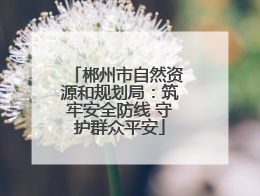 郴州市自然资源和规划局：筑牢安全防线 守护群众平安