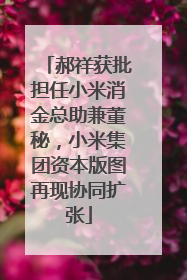 郝祥获批担任小米消金总助兼董秘，小米集团资本版图再现协同扩张
