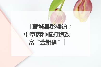 鄄城县彭楼镇：中草药种植打造致富“金钥匙”