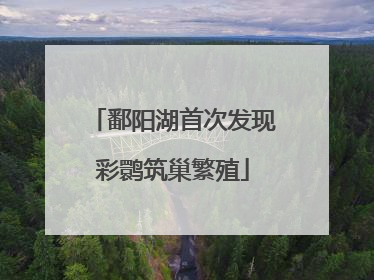 鄱阳湖首次发现彩鹮筑巢繁殖