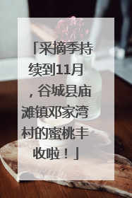 采摘季持续到11月，谷城县庙滩镇邓家湾村的蜜桃丰收啦！