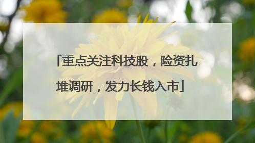 重点关注科技股，险资扎堆调研，发力长钱入市