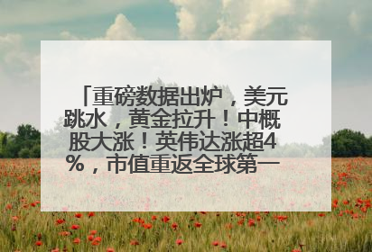 重磅数据出炉，美元跳水，黄金拉升！中概股大涨！英伟达涨超4%，市值重返全球第一！黄仁勋计划出售至多600万股股票