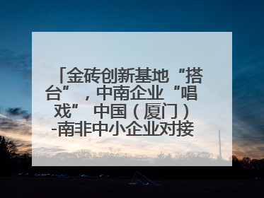 金砖创新基地“搭台”，中南企业“唱戏” 中国（厦门）-南非中小企业对接会在厦举办