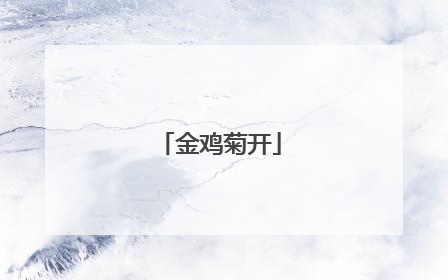 金鸡菊开