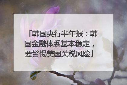 韩国央行半年报：韩国金融体系基本稳定，要警惕美国关税风险