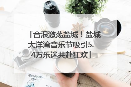 音浪激荡盐城！盐城大洋湾音乐节吸引5.4万乐迷共赴狂欢