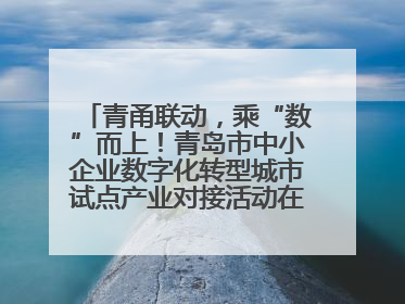 青甬联动，乘“数”而上！青岛市中小企业数字化转型城市试点产业对接活动在宁波开班