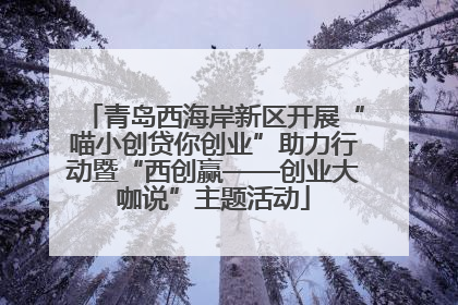 青岛西海岸新区开展“喵小创贷你创业”助力行动暨“西创赢——创业大咖说”主题活动