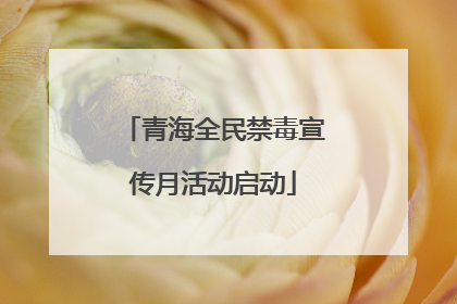 青海全民禁毒宣传月活动启动
