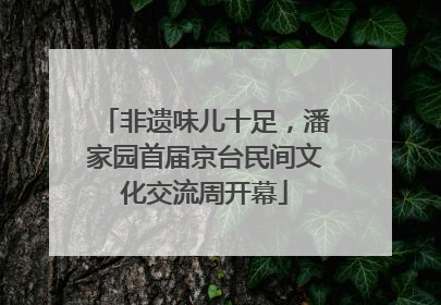非遗味儿十足，潘家园首届京台民间文化交流周开幕