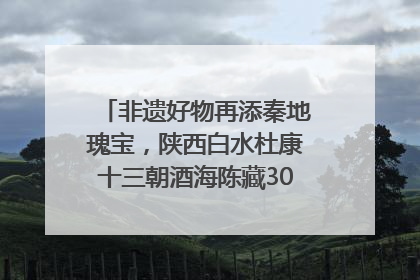 非遗好物再添秦地瑰宝，陕西白水杜康十三朝酒海陈藏30年别具一格