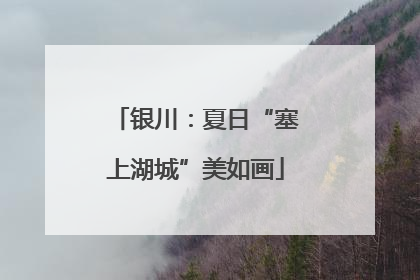 银川：夏日“塞上湖城”美如画