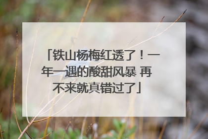铁山杨梅红透了！一年一遇的酸甜风暴 再不来就真错过了