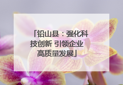 铅山县：强化科技创新 引领企业高质量发展