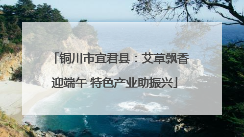 铜川市宜君县：艾草飘香迎端午 特色产业助振兴