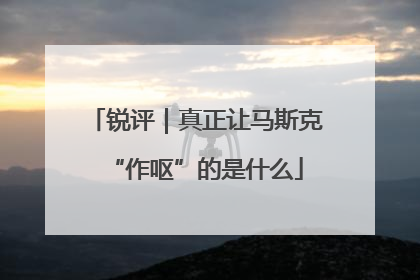 锐评｜真正让马斯克“作呕”的是什么
