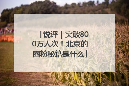 锐评｜突破800万人次！北京的圈粉秘籍是什么