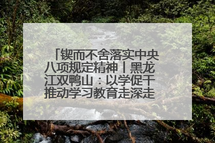 锲而不舍落实中央八项规定精神丨黑龙江双鸭山：以学促干推动学习教育走深走实 从小事入手写好“民生答卷”