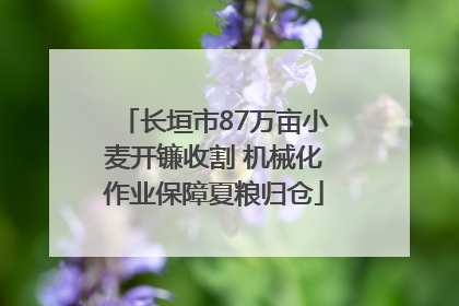 长垣市87万亩小麦开镰收割 机械化作业保障夏粮归仓