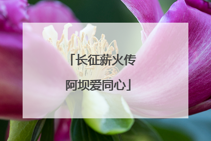 长征薪火传 阿坝爱同心