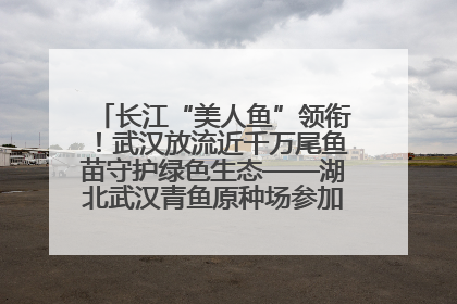 长江“美人鱼”领衔！武汉放流近千万尾鱼苗守护绿色生态——湖北武汉青鱼原种场参加2025年“全国放鱼日”增殖放流活动