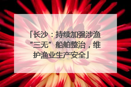 长沙：持续加强涉渔“三无”船舶整治，维护渔业生产安全