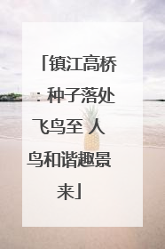镇江高桥：种子落处飞鸟至 人鸟和谐趣景来
