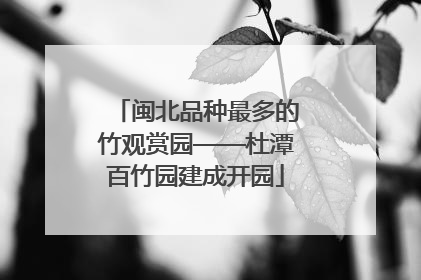 闽北品种最多的竹观赏园——杜潭百竹园建成开园