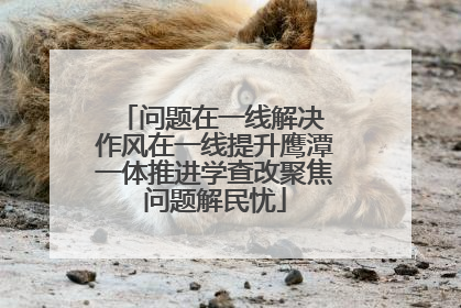 问题在一线解决 作风在一线提升鹰潭一体推进学查改聚焦问题解民忧