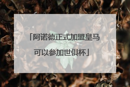 阿诺德正式加盟皇马 可以参加世俱杯
